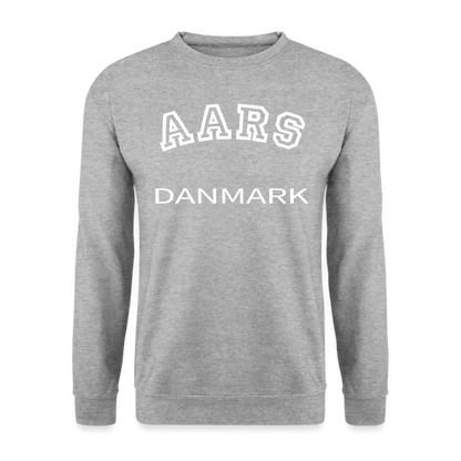 CityShirt - Sweatshirt - Aars - hvidgrå meleret