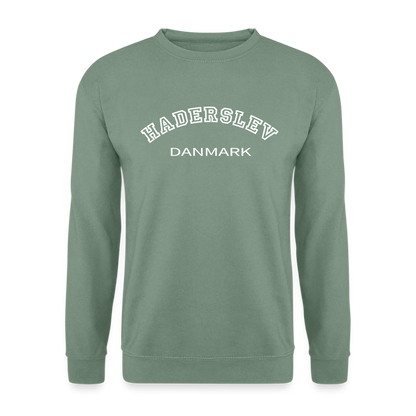 CityShirt - Sweatshirt - Haderslev - grågrøn