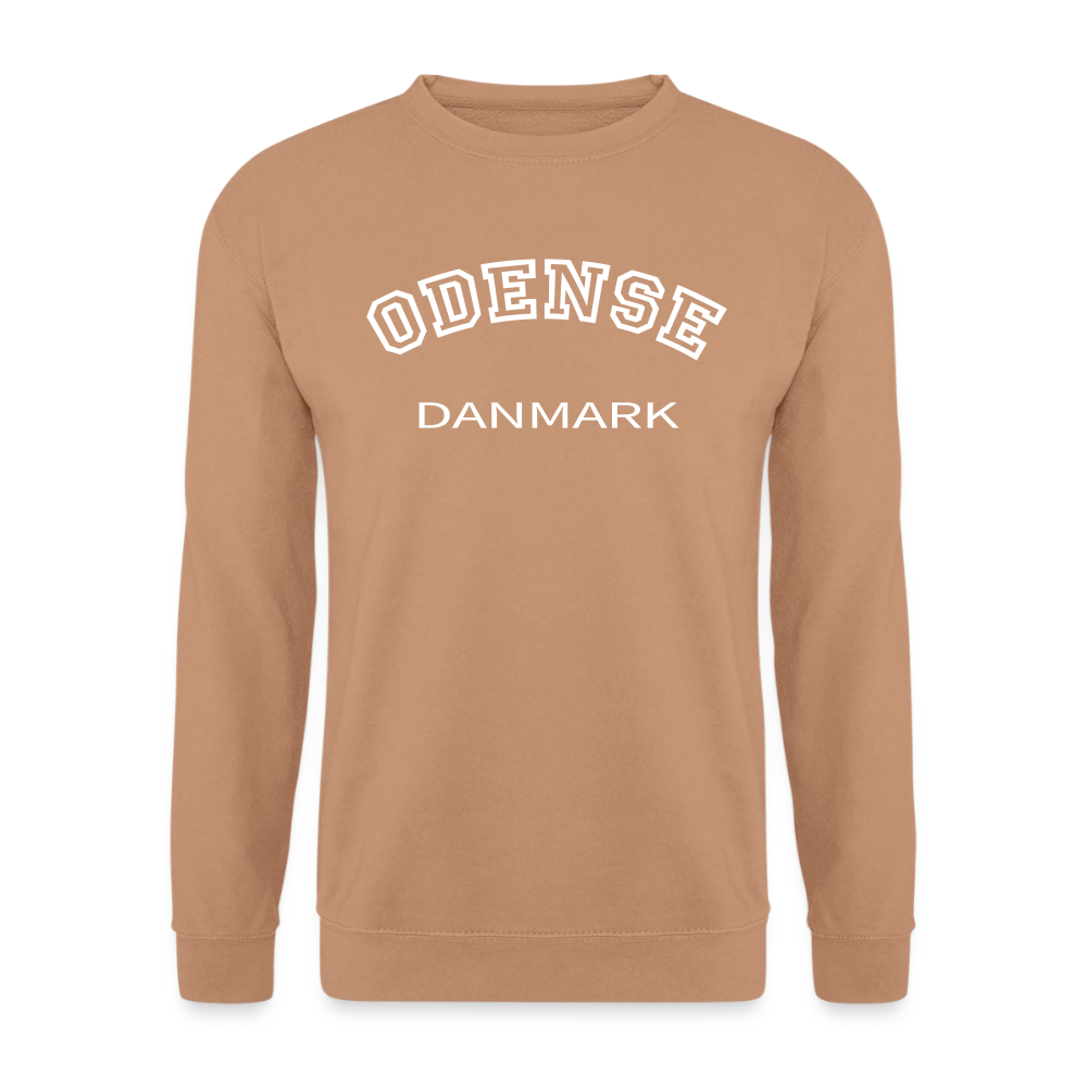 CityShirt - Sweatshirt - Odense - mokka