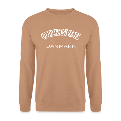 CityShirt - Sweatshirt - Odense - mokka