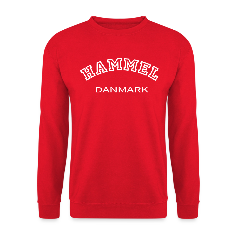CityShirt - Sweatshirt - Hammel - rød