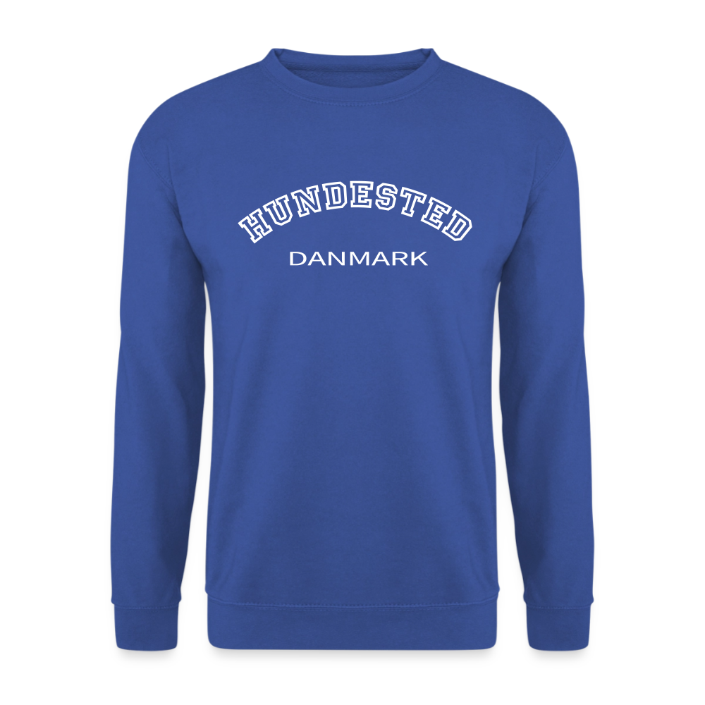 CityShirt - Sweatshirt - Hundested - kongeblå