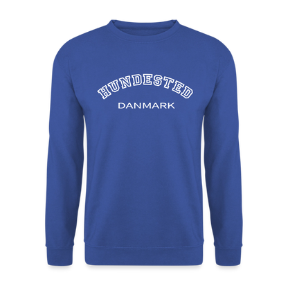 CityShirt - Sweatshirt - Hundested - kongeblå