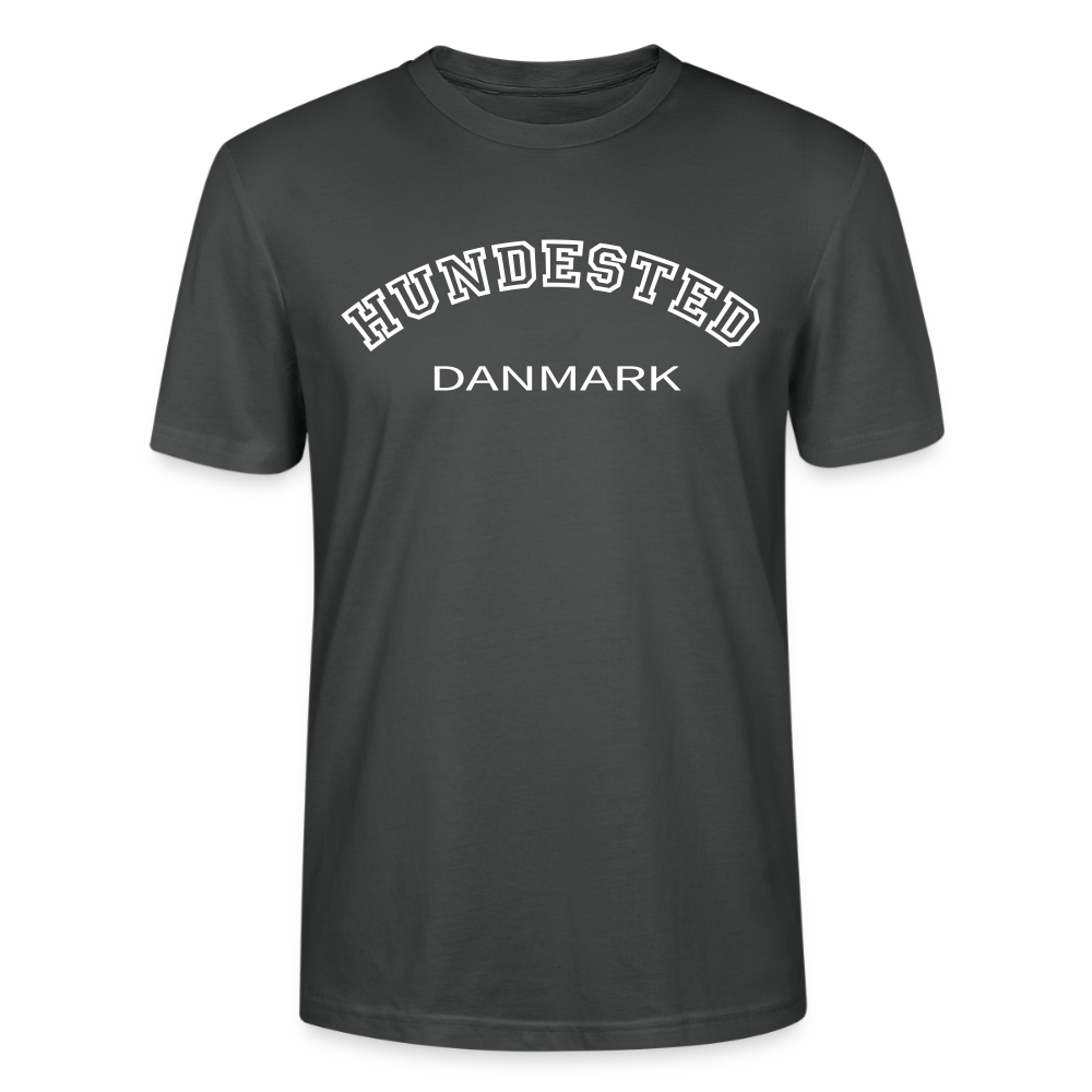 CityShirt - T-shirt - Hundested - charcoal