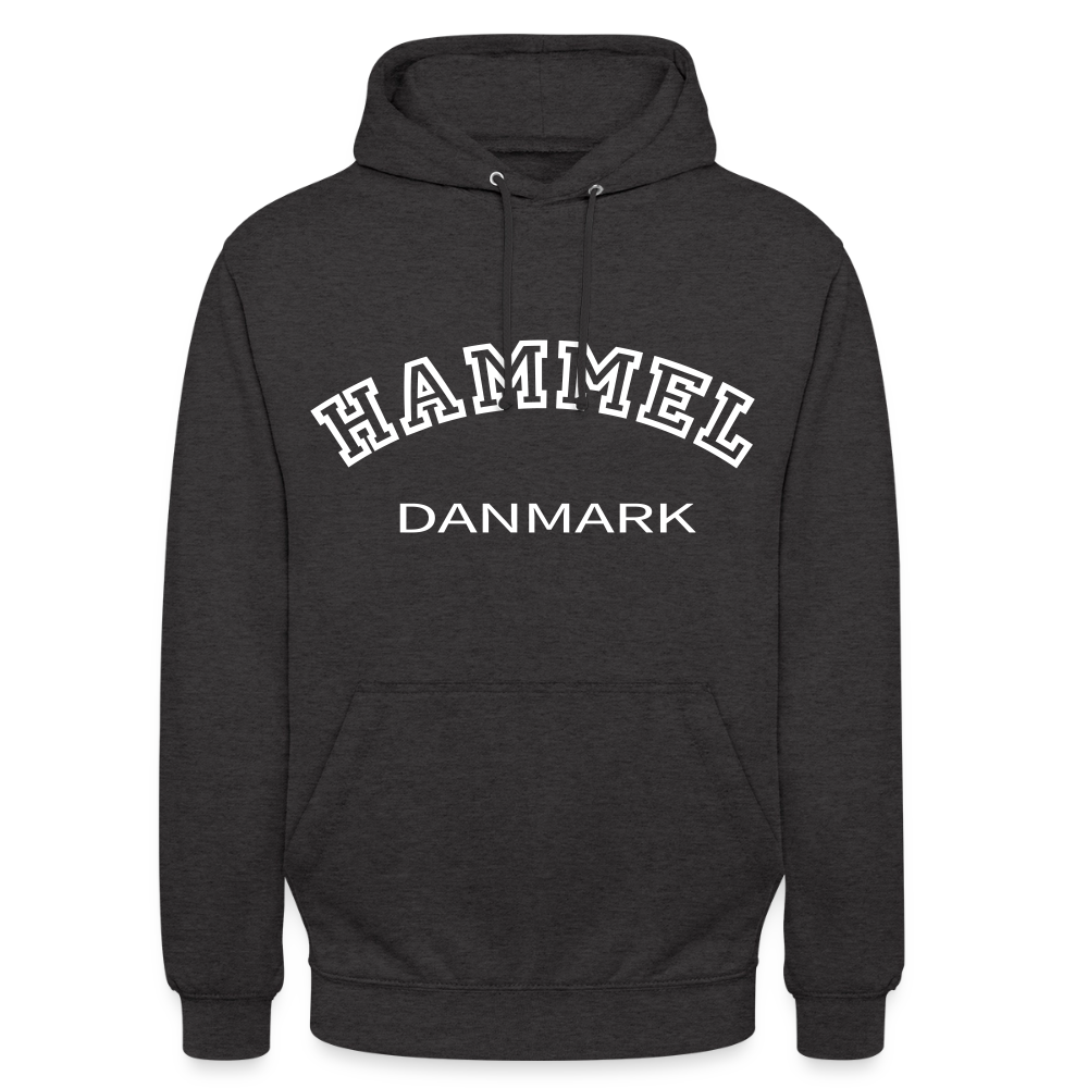 CityShirt - Hoodie - Hammel - charcoal