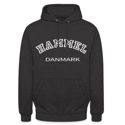 CityShirt - Hoodie - Hammel - charcoal