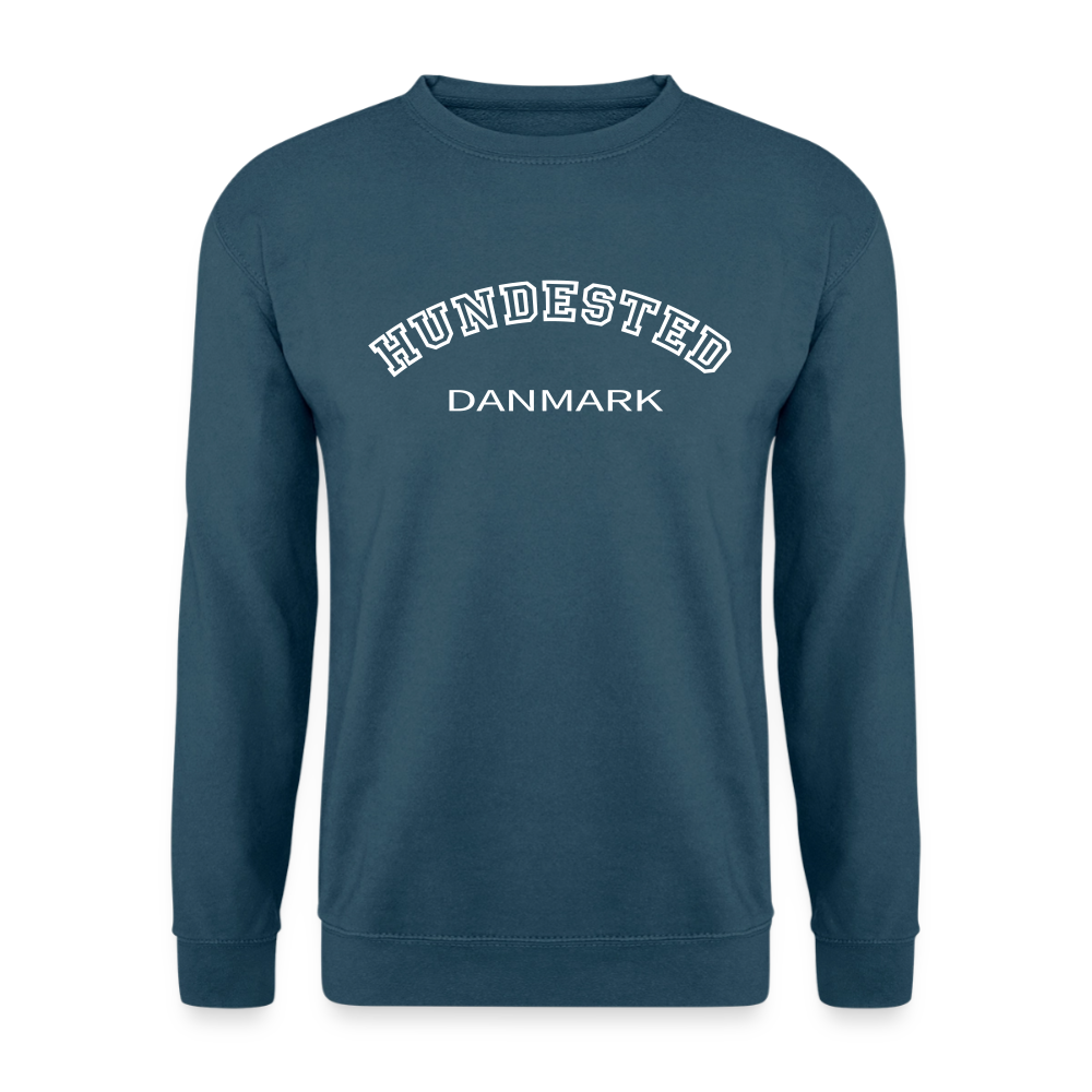 CityShirt - Sweatshirt - Hundested - indigoblå