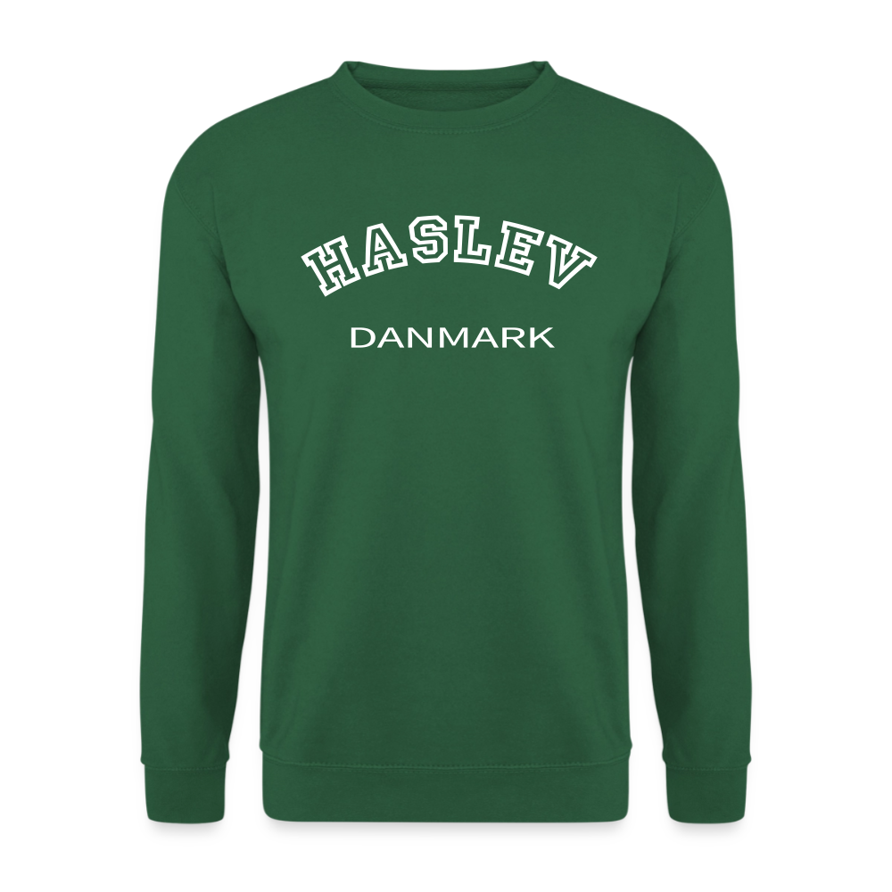 CityShirt - Sweatshirt - Haslev - grøn