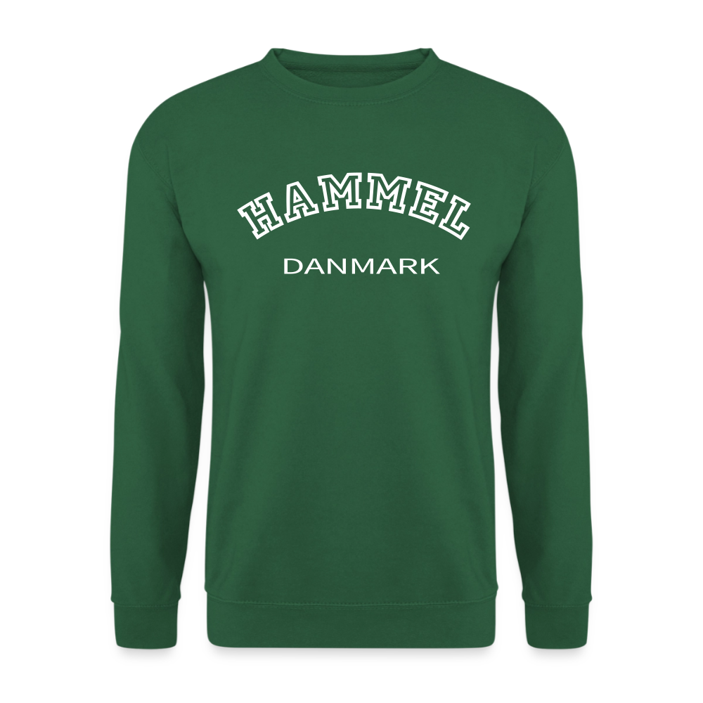 CityShirt - Sweatshirt - Hammel - grøn