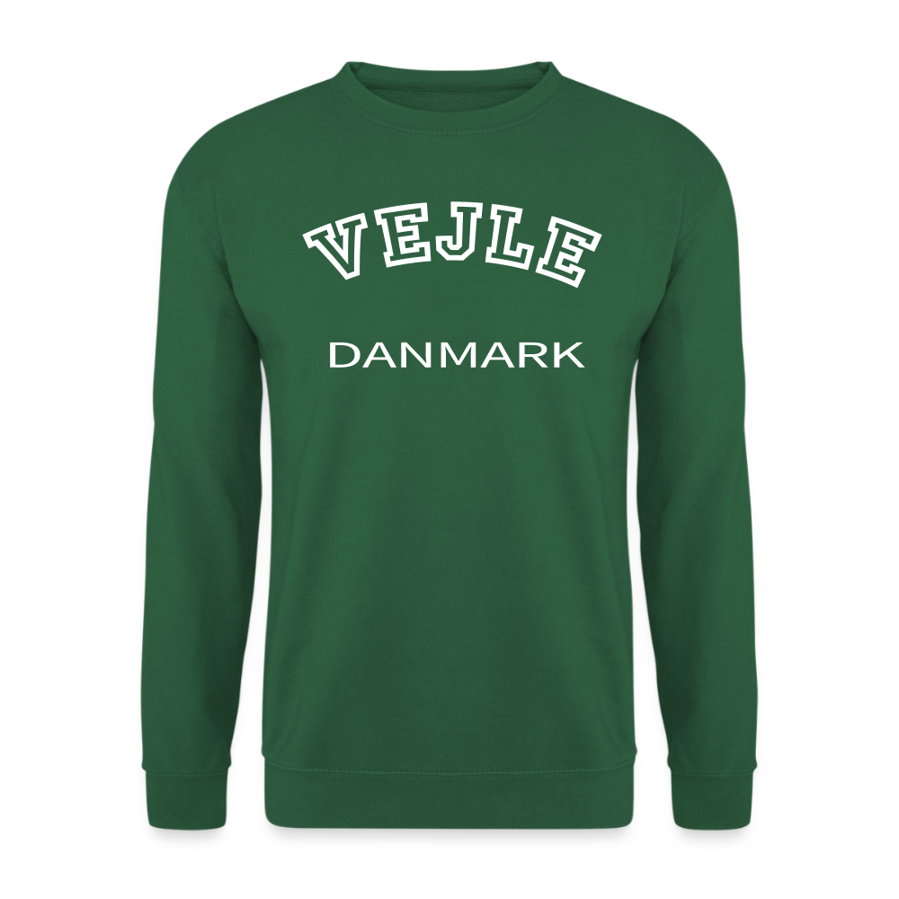 CityShirt - Sweatshirt - Vejle - grøn