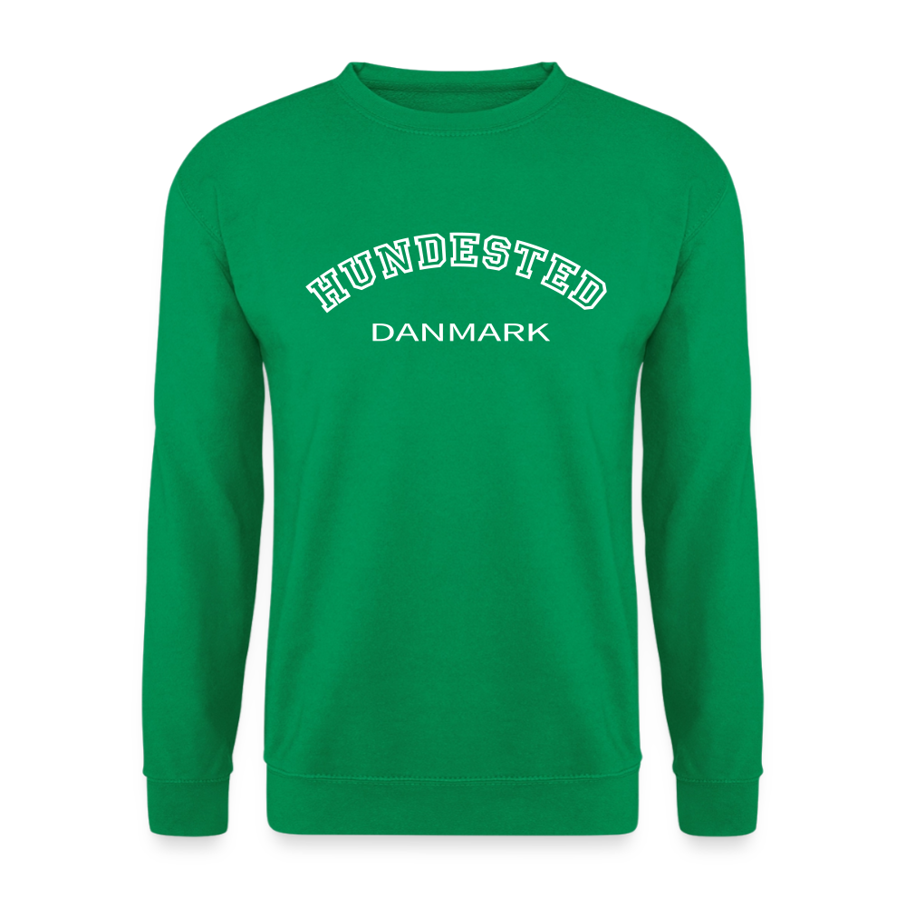 CityShirt - Sweatshirt - Hundested - kelly grøn