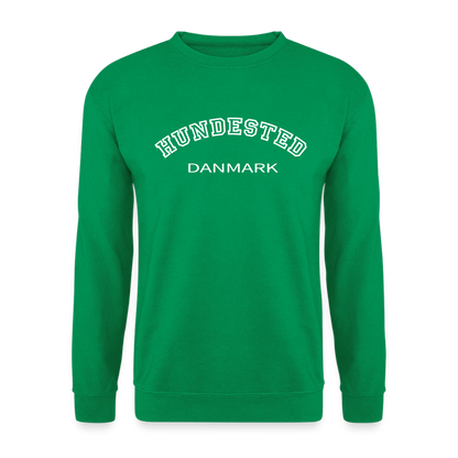 CityShirt - Sweatshirt - Hundested - kelly grøn