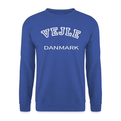 CityShirt - Sweatshirt - Vejle - kongeblå