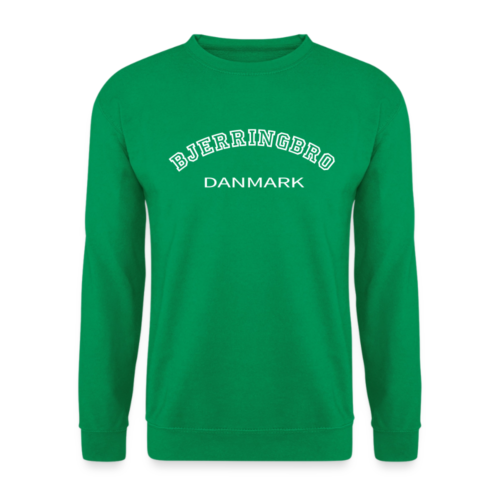 CityShirt - Sweatshirt - Bjerringbro - kelly grøn