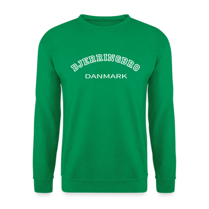 CityShirt - Sweatshirt - Bjerringbro - kelly grøn