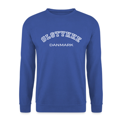 CityShirt - Sweatshirt - Ølstykke - kongeblå