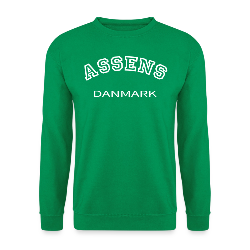 CityShirt - Sweatshirt - Assens - kelly grøn