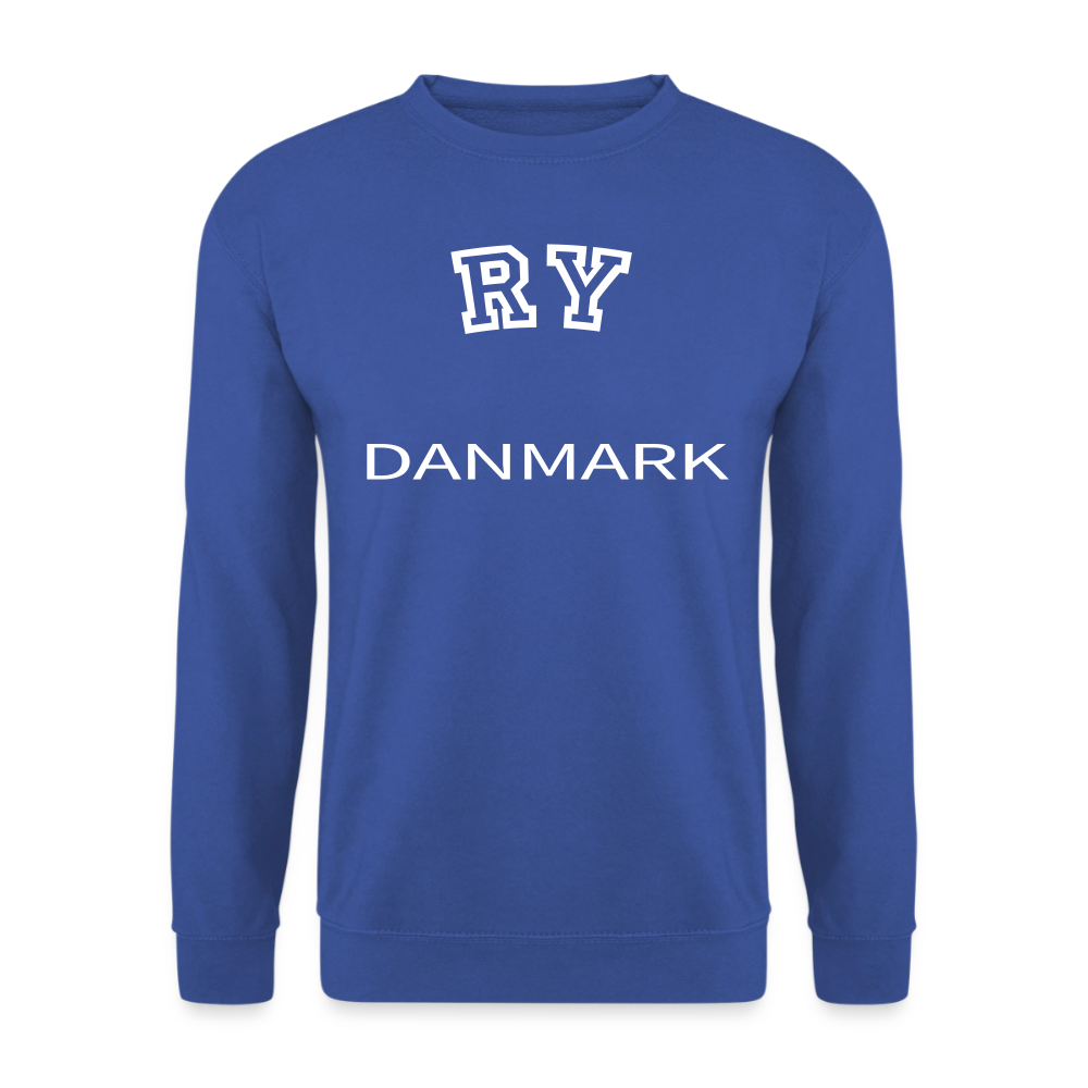 CityShirt - Sweatshirt - Ry - kongeblå