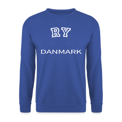 CityShirt - Sweatshirt - Ry - kongeblå