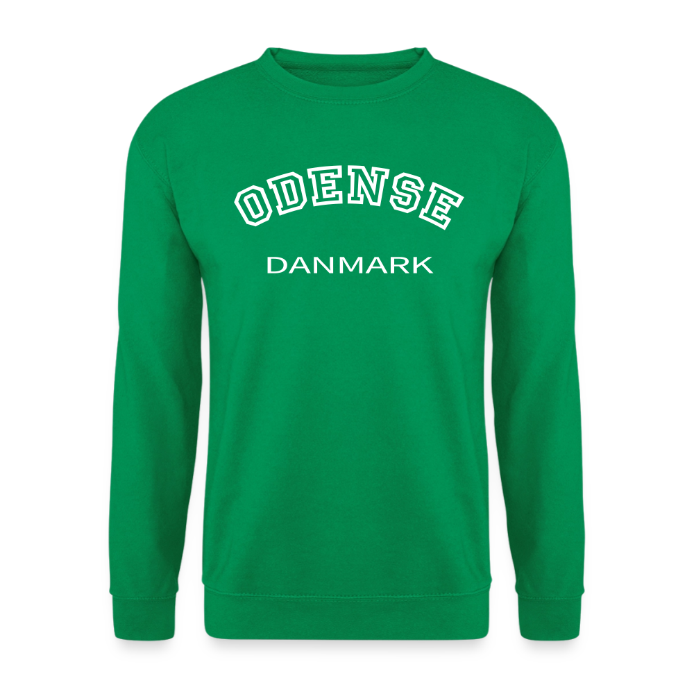 CityShirt - Sweatshirt - Odense - kelly grøn