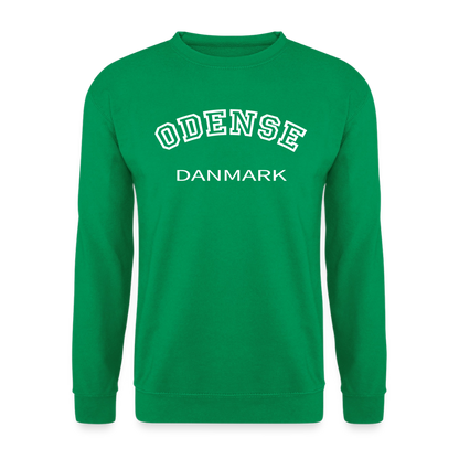 CityShirt - Sweatshirt - Odense - kelly grøn