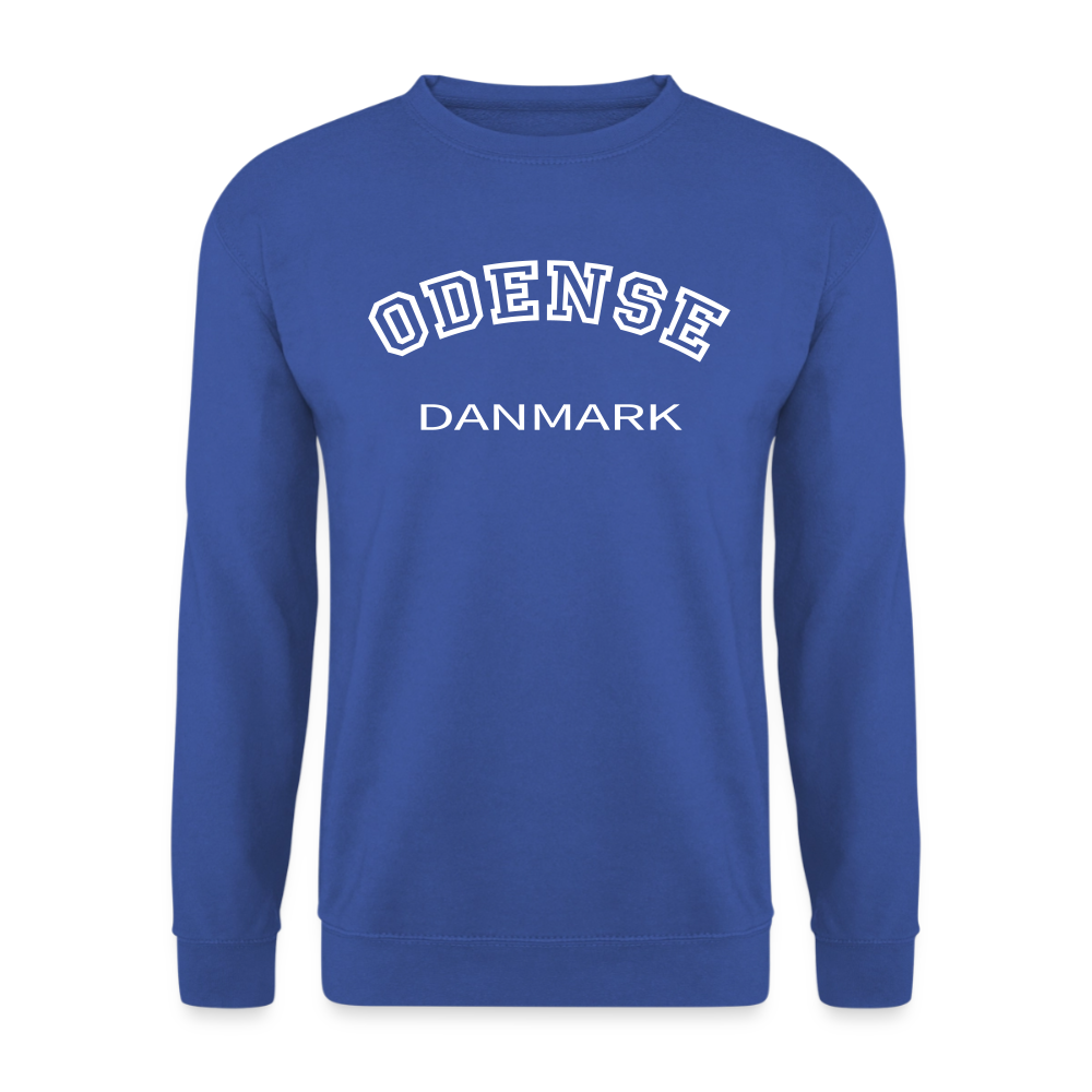 CityShirt - Sweatshirt - Odense - kongeblå