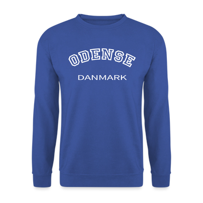 CityShirt - Sweatshirt - Odense - kongeblå