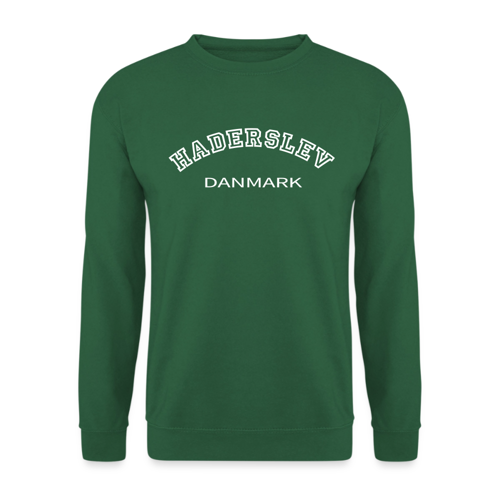 CityShirt - Sweatshirt - Haderslev - grøn