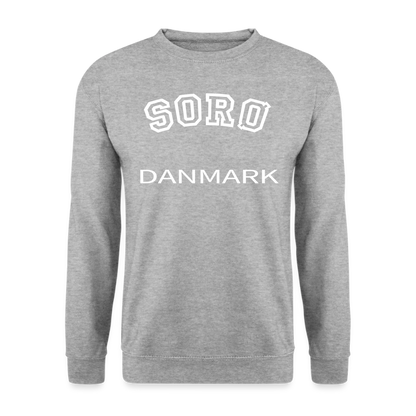 CityShirt - Sweatshirt - Sorø - hvidgrå meleret