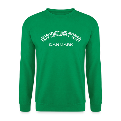 CityShirt - Sweatshirt - Grindsted - kelly grøn