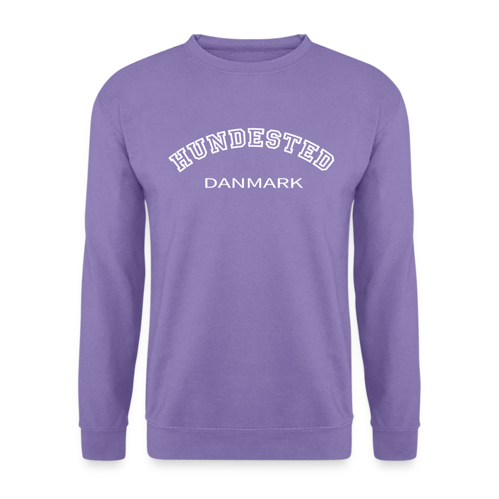CityShirt - Sweatshirt - Hundested - lavendel