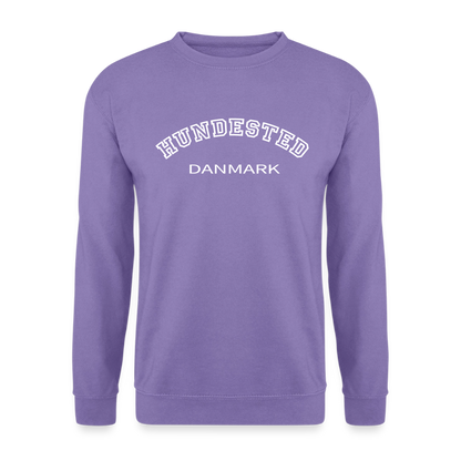 CityShirt - Sweatshirt - Hundested - lavendel
