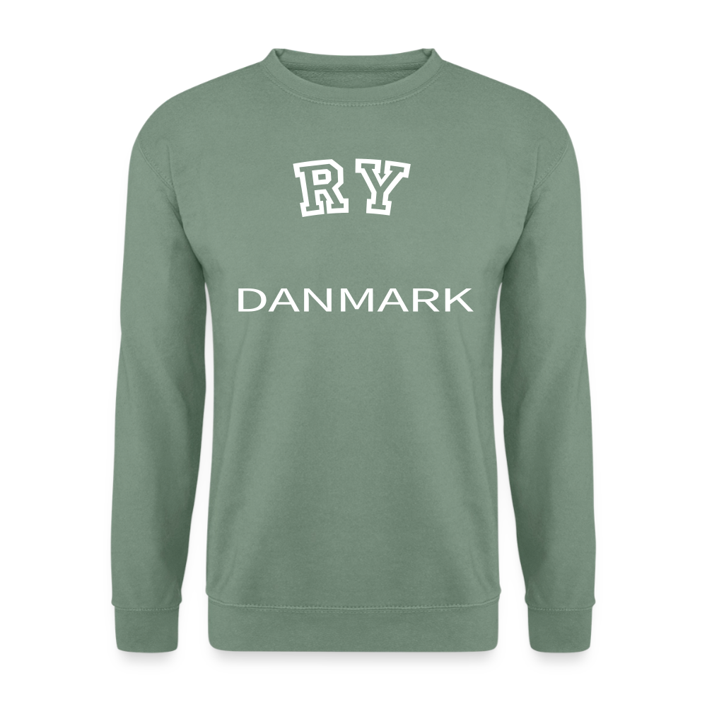CityShirt - Sweatshirt - Ry - grågrøn