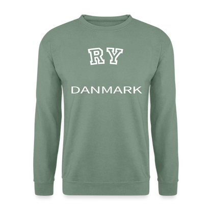 CityShirt - Sweatshirt - Ry - grågrøn