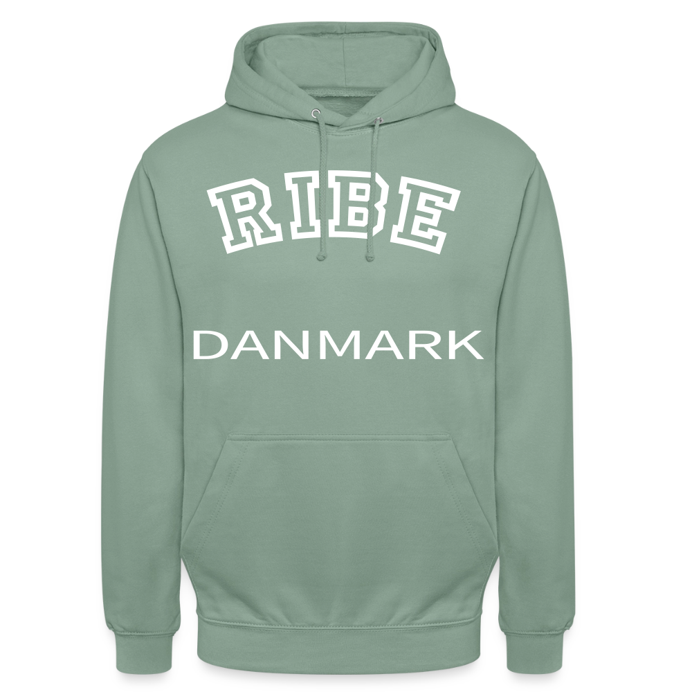 CityShirt - Hoodie - Ribe - grågrøn