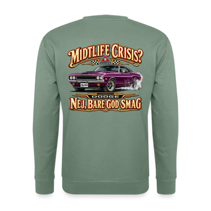 Carshirt 202 Dodge - grågrøn
