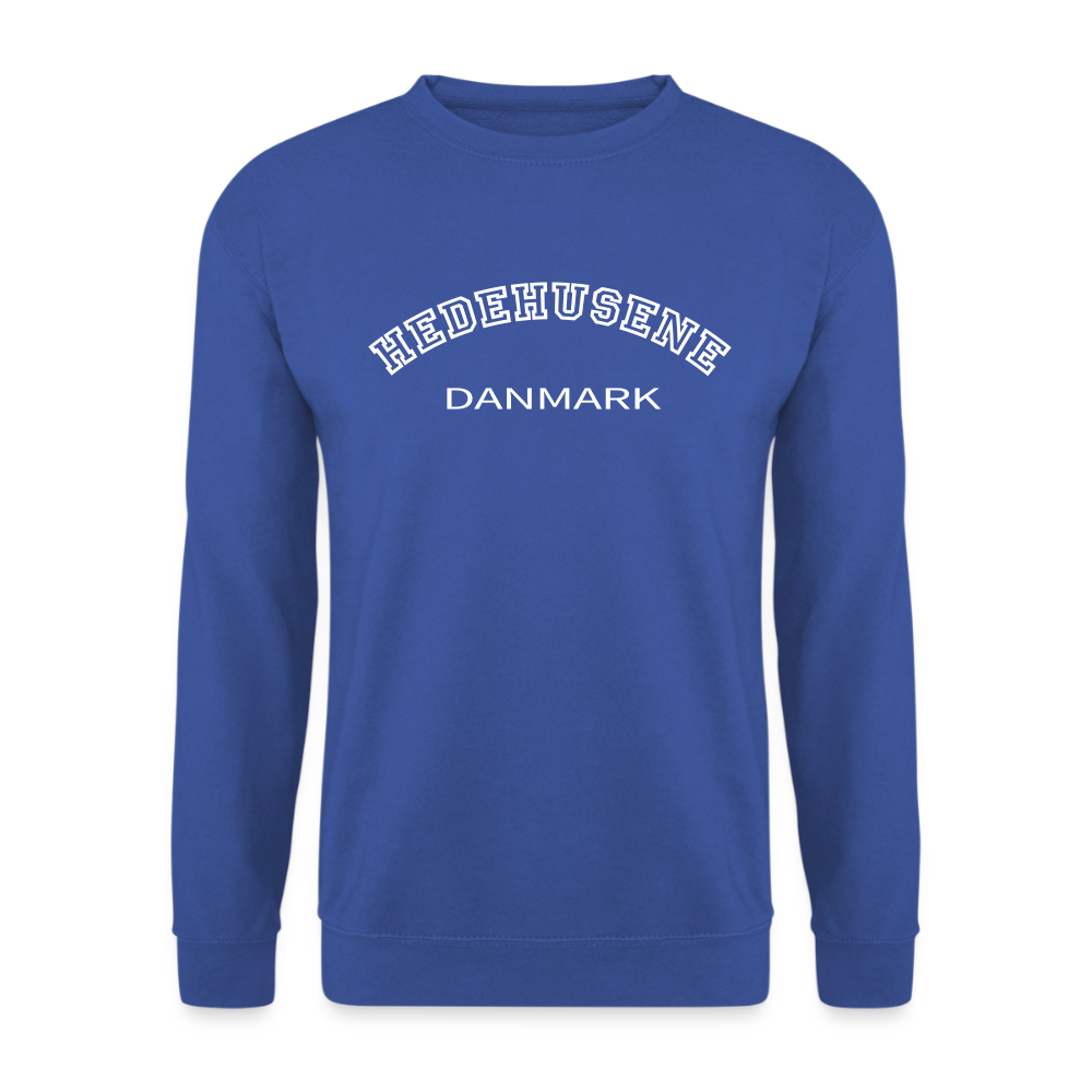 CityShirt - Sweatshirt - Hedehusene - kongeblå