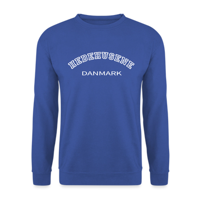 CityShirt - Sweatshirt - Hedehusene - kongeblå