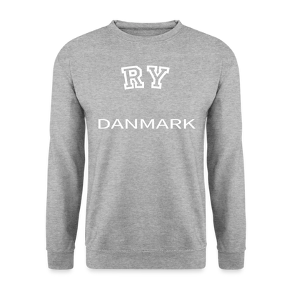 CityShirt - Sweatshirt - Ry - hvidgrå meleret