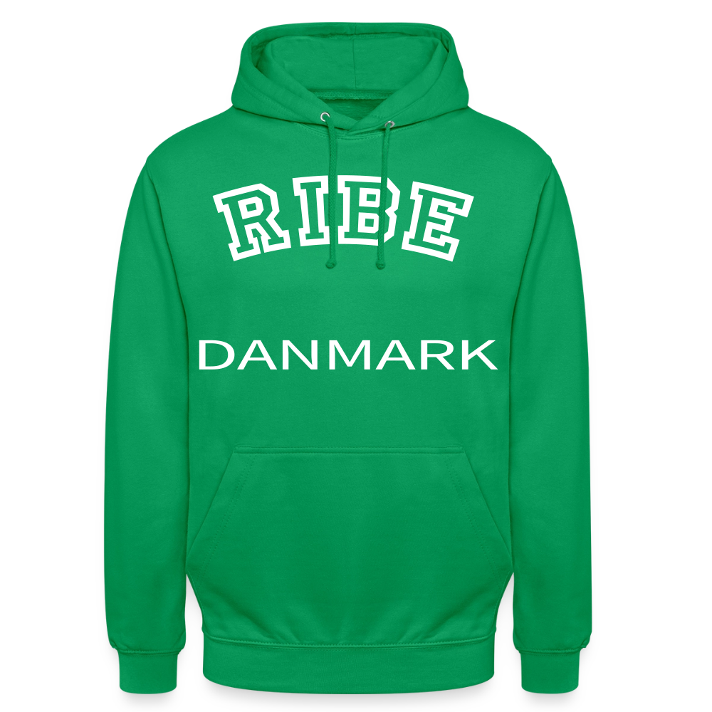 CityShirt - Hoodie - Ribe - kelly grøn
