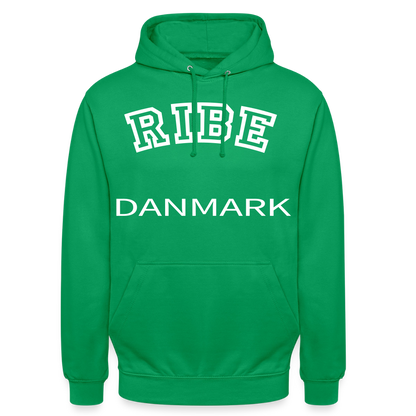 CityShirt - Hoodie - Ribe - kelly grøn