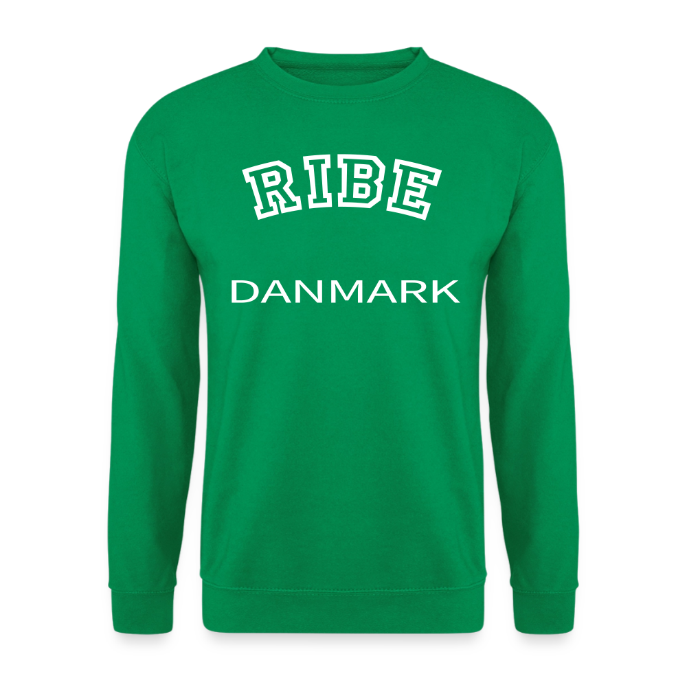CityShirt - Sweatshirt - Ribe - kelly grøn