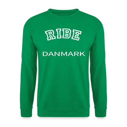 CityShirt - Sweatshirt - Ribe - kelly grøn