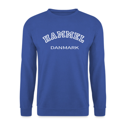 CityShirt - Sweatshirt - Hammel - kongeblå