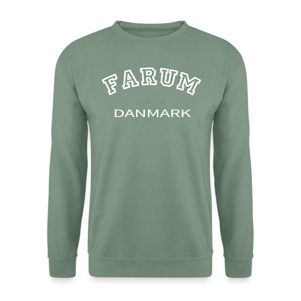 CityShirt - Sweatshirt - Farum - grågrøn
