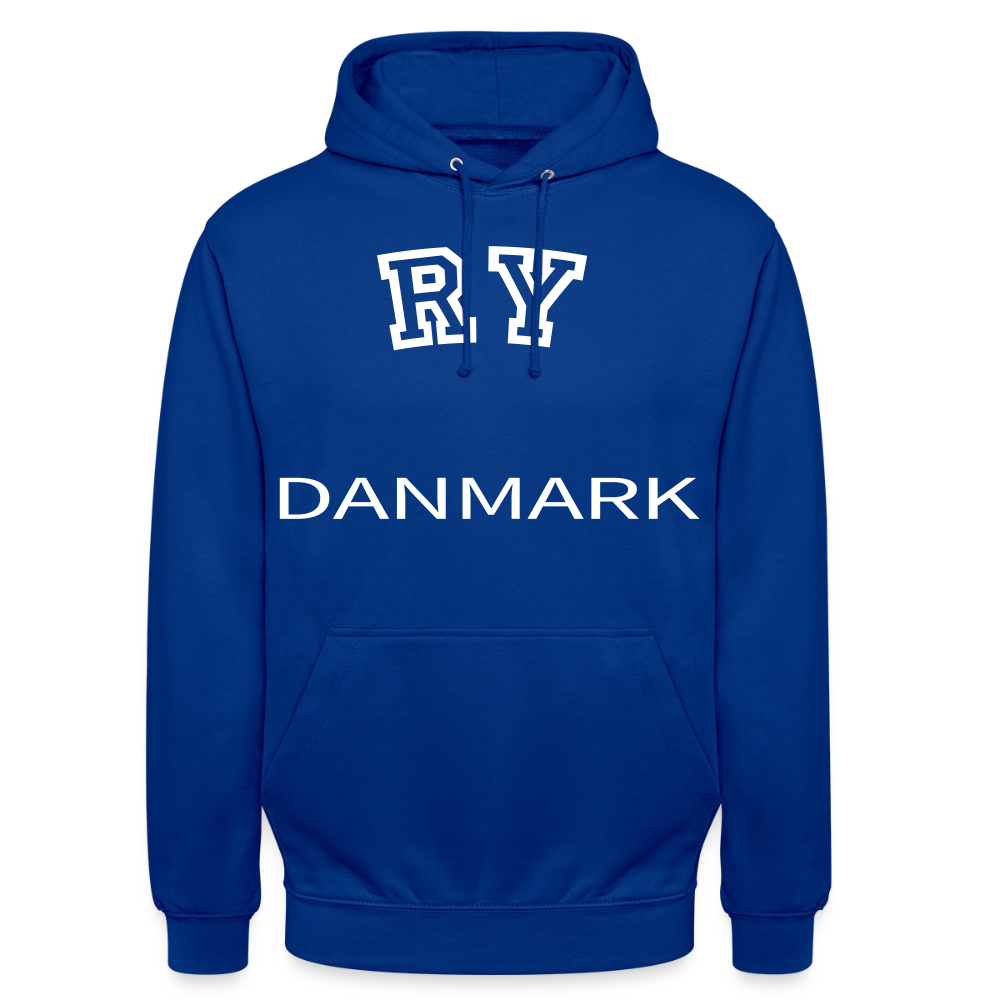 CityShirt - Hoodie - Ry - kongeblå