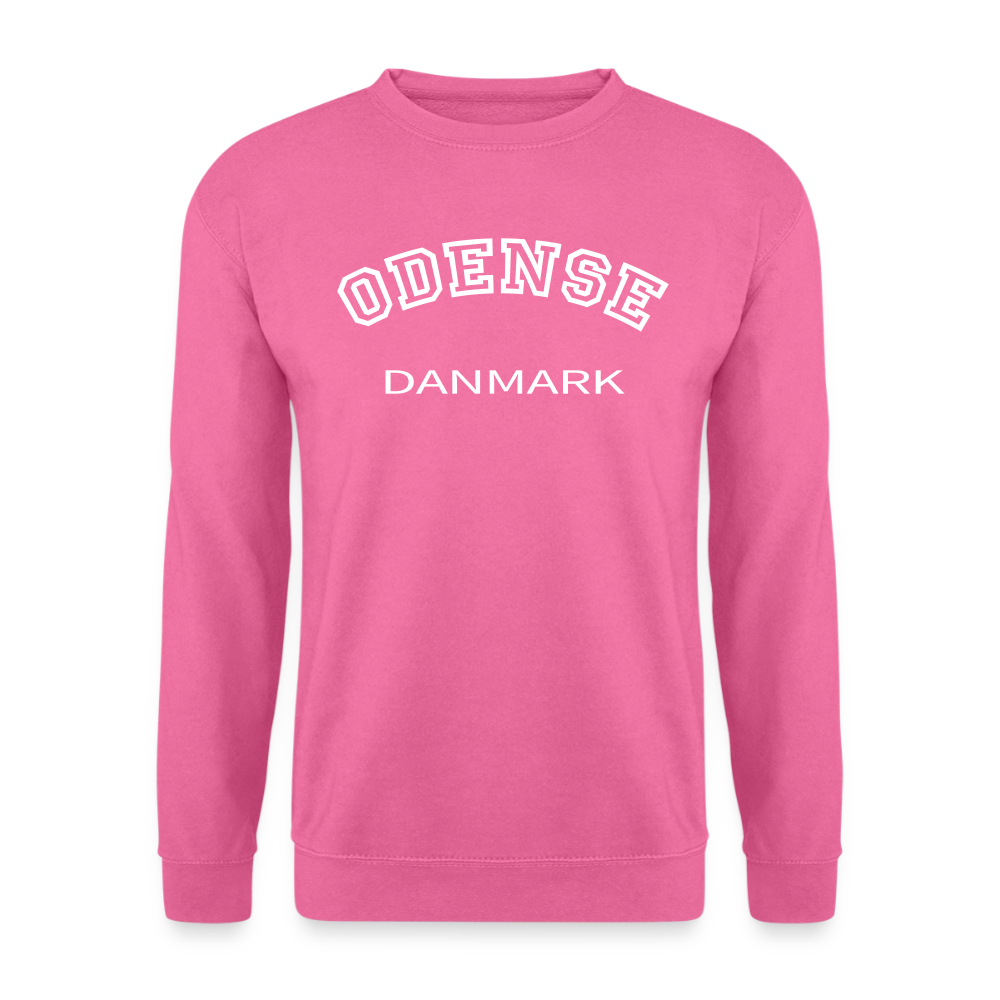 CityShirt - Sweatshirt - Odense - pink
