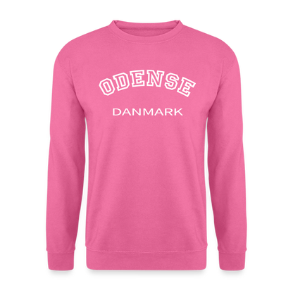 CityShirt - Sweatshirt - Odense - pink