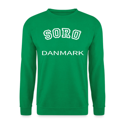 CityShirt - Sweatshirt - Sorø - kelly grøn